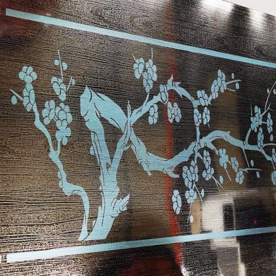 Verbindingsbewegingsvorm met vijf assen Lasergraveringsmachine voor de decoratie van liftdeuren